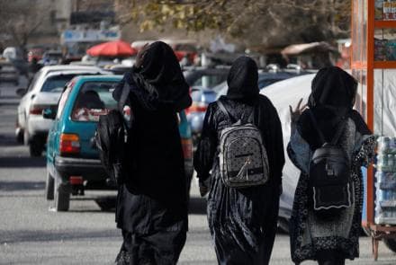 Cover Image for International  organizations sustain calls for women&#8217;s rights in Afghanistan